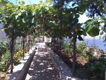 Bed and breakfast Domus San Vincenzo Sant'Agnello